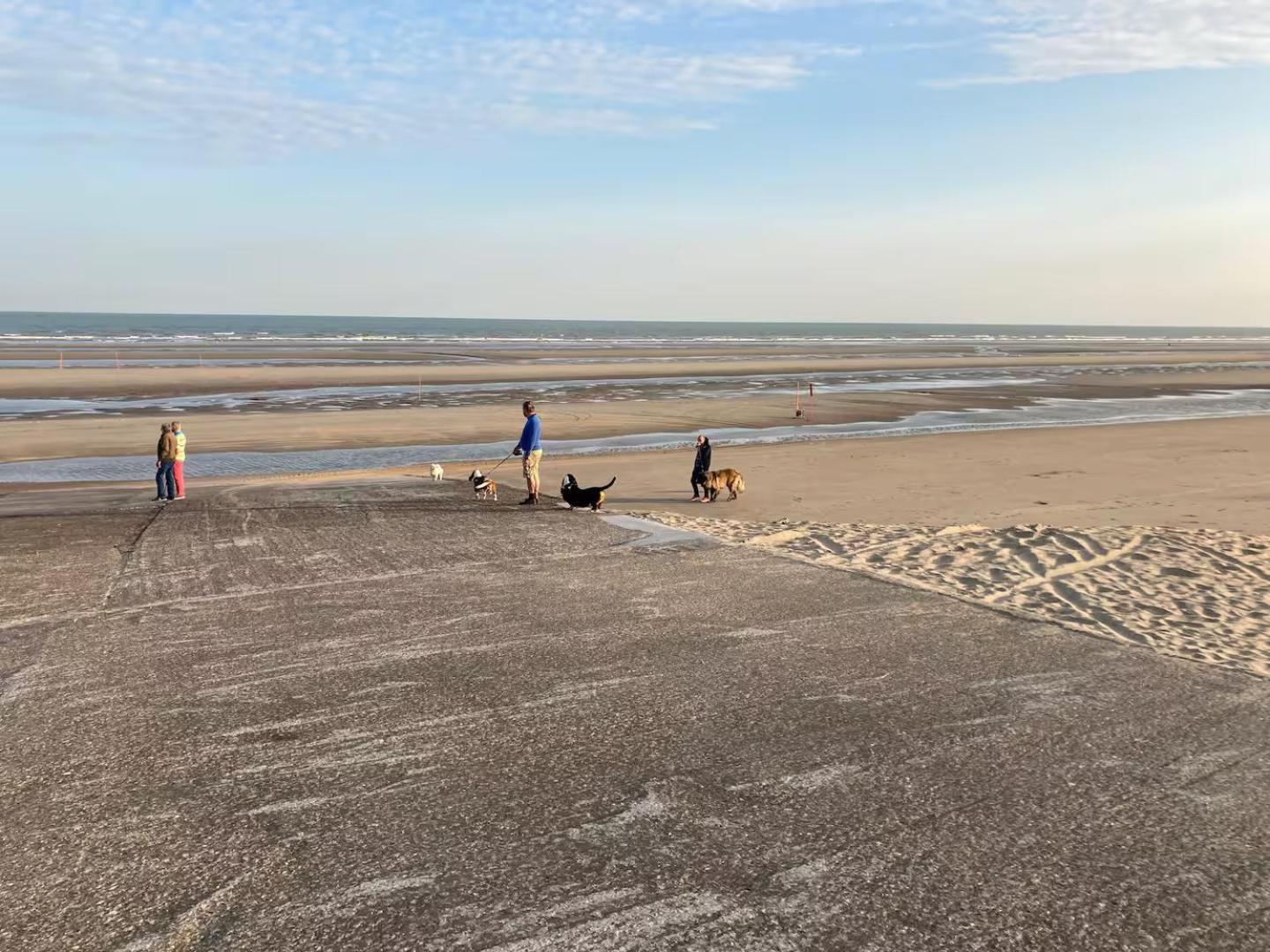 Klif Des En Bord De De Panne